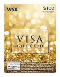 $100 Visa Gift Card with a $5.95 Purchase Fee